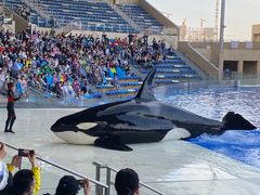 -上海海昌海洋公园-停车场