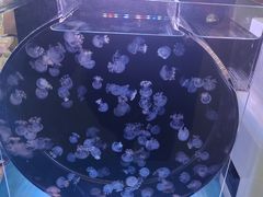 -万达广场(太原街店)