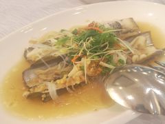 -镇发活海鲜(Clementi)