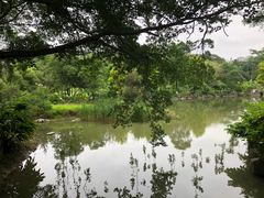 -广西壮族自治区药用植物园