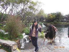 -丽江玉水寨