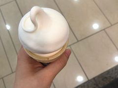 -DQ·蛋糕·冰淇淋(绿宝店)