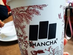 -雾与山茶(大禹城店)