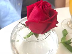 -PETIT PARIS 小巴黎(凯德1818店)