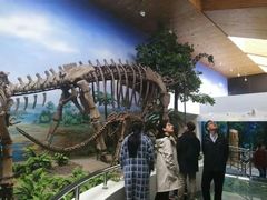 -延庆地质公园博物馆