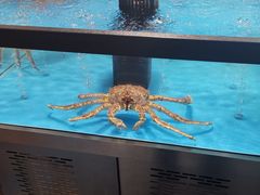 -麦德龙(郑东店)