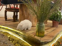 -龙源茶坊(白银路店)