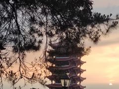 -缙云山景区