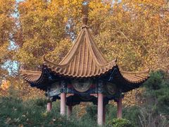 -河南省黄河迎宾馆