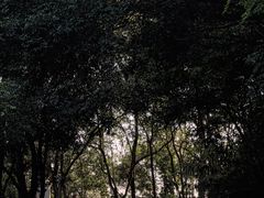 -白云山风景名胜区