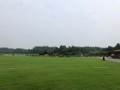 -东平国家森林公园