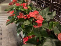 -大妙火锅·非物质文化遗产(东湖公园店)