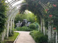 -南宫五洲植物乐园