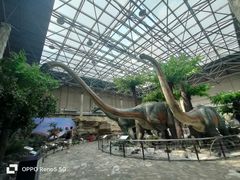 -国家自然博物馆