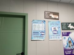 -半岛宠物医院24小时(科华中路店)
