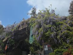 -石老人观光园