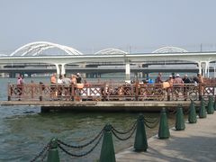-灞河西岸滨河公园