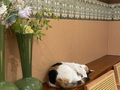 -大象厨房(重庆道店)