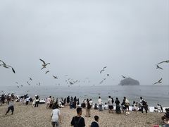 -棒棰岛宾馆景区