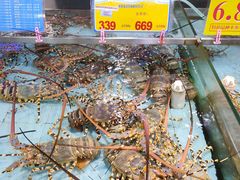 -渔民新村(番禺总店)