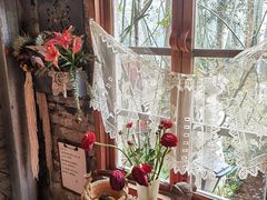 -Jo's Garden