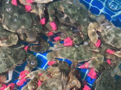 -宾朋海鲜特色美食餐厅·纯手工鲅鱼水饺(兴海路店)