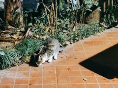 -一江春水·杭帮臻宴(三台山店)