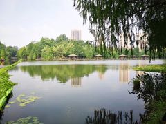 -枫香湖儿童公园