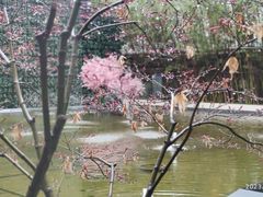 -锦江都城经典达华静安寺酒店·餐厅