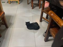 -新疆狼爷烤肉(宋庄店)