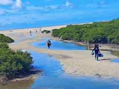 -北海金海湾红树林生态旅游区