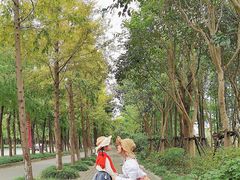 -前小桔亲子创意农场·草莓采摘·露营烧烤