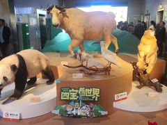 -陕西自然博物馆