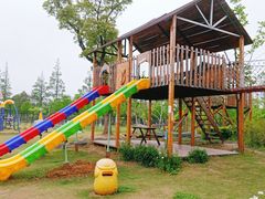 -上海长兴岛郊野公园