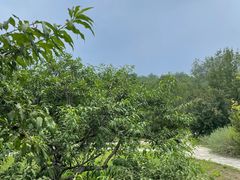 -滨河世纪广场公园