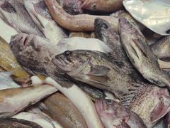 -映像威海·海鲜味道(经区店)