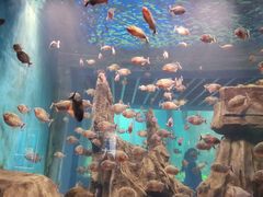-石家庄海洋公园