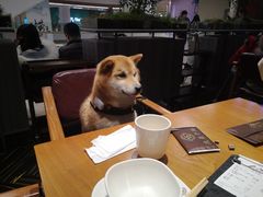 -氿熹干锅•牛蛙•烤鱼(印象城店)