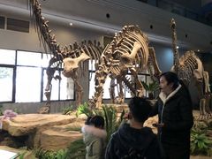 -自贡恐龙博物馆