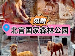 -北宫国家森林公园