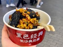 -黑色经典臭豆腐·湖南特产(坡子街店)