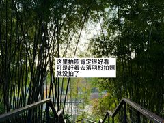 -云溪植物园