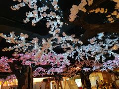 -蓝鲸湾汤泉(包河店)