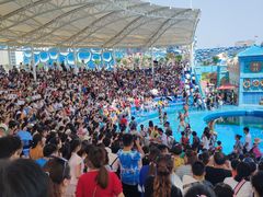 -华夏文旅海洋公园