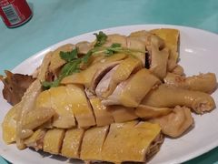 -巫记鸡饭店