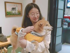 -猫色咖啡·猫咖