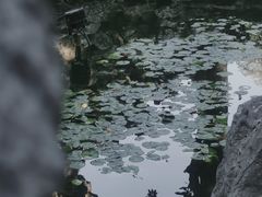 -个园