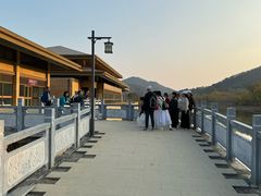 -千年银杏谷文化旅游区