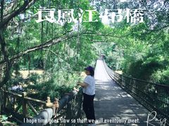 -南宁良凤江国家森林公园