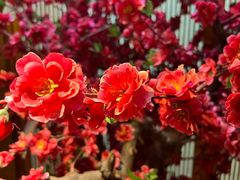 -嘉佑温泉水世界